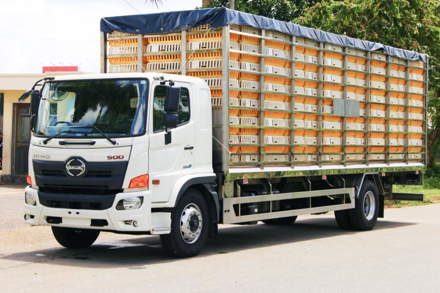 Xe tải chở gia cầm 5T7 Euro 5: Hino 500 FG8JT8A-PGV
