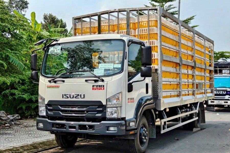 Isuzu FRR 650 thùng chở gia cầm full inox 304 nhìn chéo phía trước