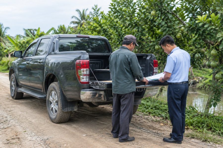 Chủ xe và chuyên viên trao đổi bên xe bán tải cũ đậu cạnh vườn bưởi miền Tây